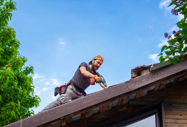 Best Solar Panel Roofing Installation  in Ormond Beach, FL